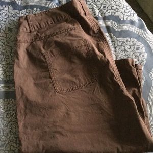 Lane Bryant Pants - Lane Bryant Capri pants Lane Bryant Pants - Lane Bryant Capri pants